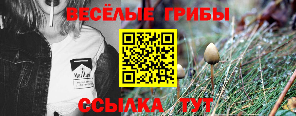 Псилоцибиновые грибы мицелий  Вход с VPN  Владимир  Галлюциногенные грибы ЛСД 